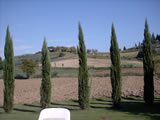 Agriturismo with pool Tuscany