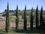 Agriturismo with pool Tuscany