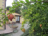 Agriturismo with pool Tuscany