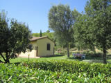 Agriturismo with pool Tuscany