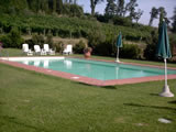 Agriturismo with pool Tuscany