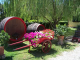 Agriturismo with pool Tuscany