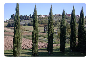 Agriturismo Tuscany