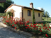 Farm Holidays in Tuscany